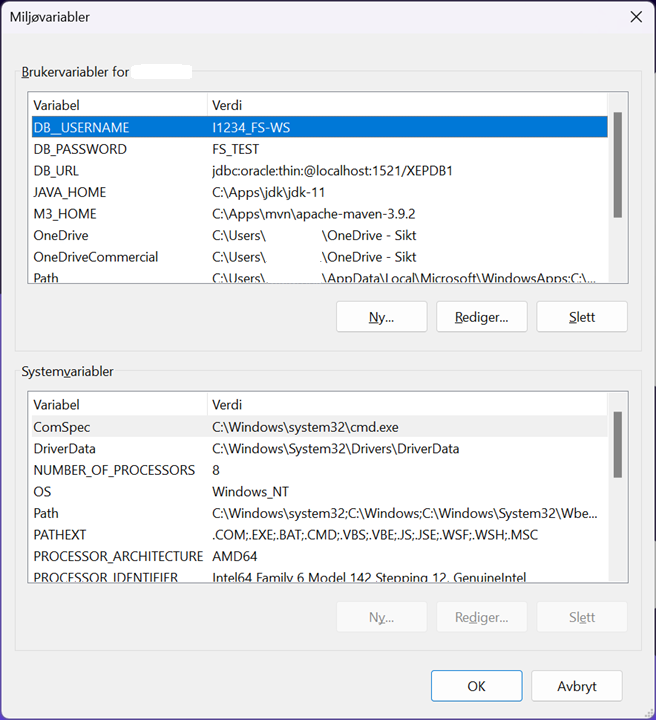 Dialogboks Miljøvariabler